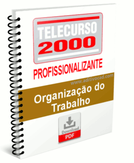 Telecurso Organização